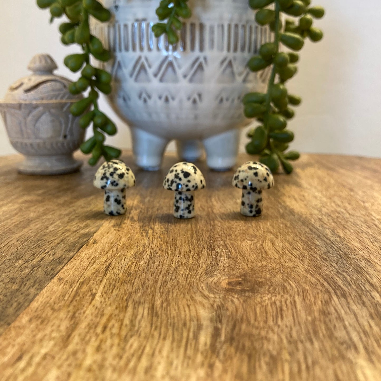 Dalmatian Mushroom Carving