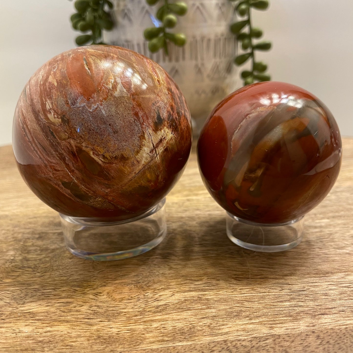 Petrified Wood Sphere