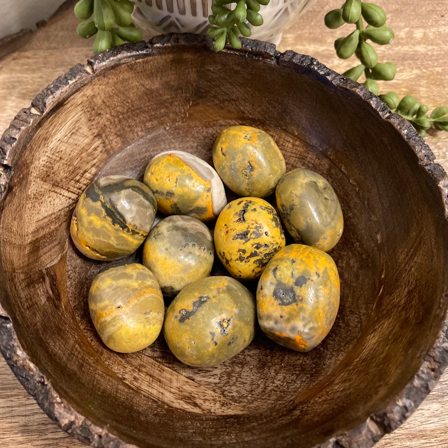 Bumblebee Jasper Tumble