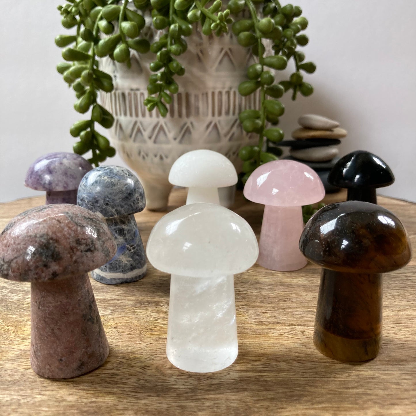 Mushroom Carving (Med)