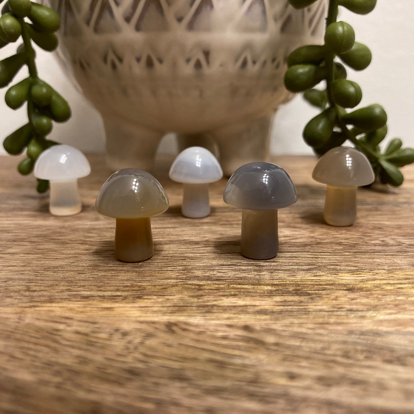 Agate Mini Mushroom Carving