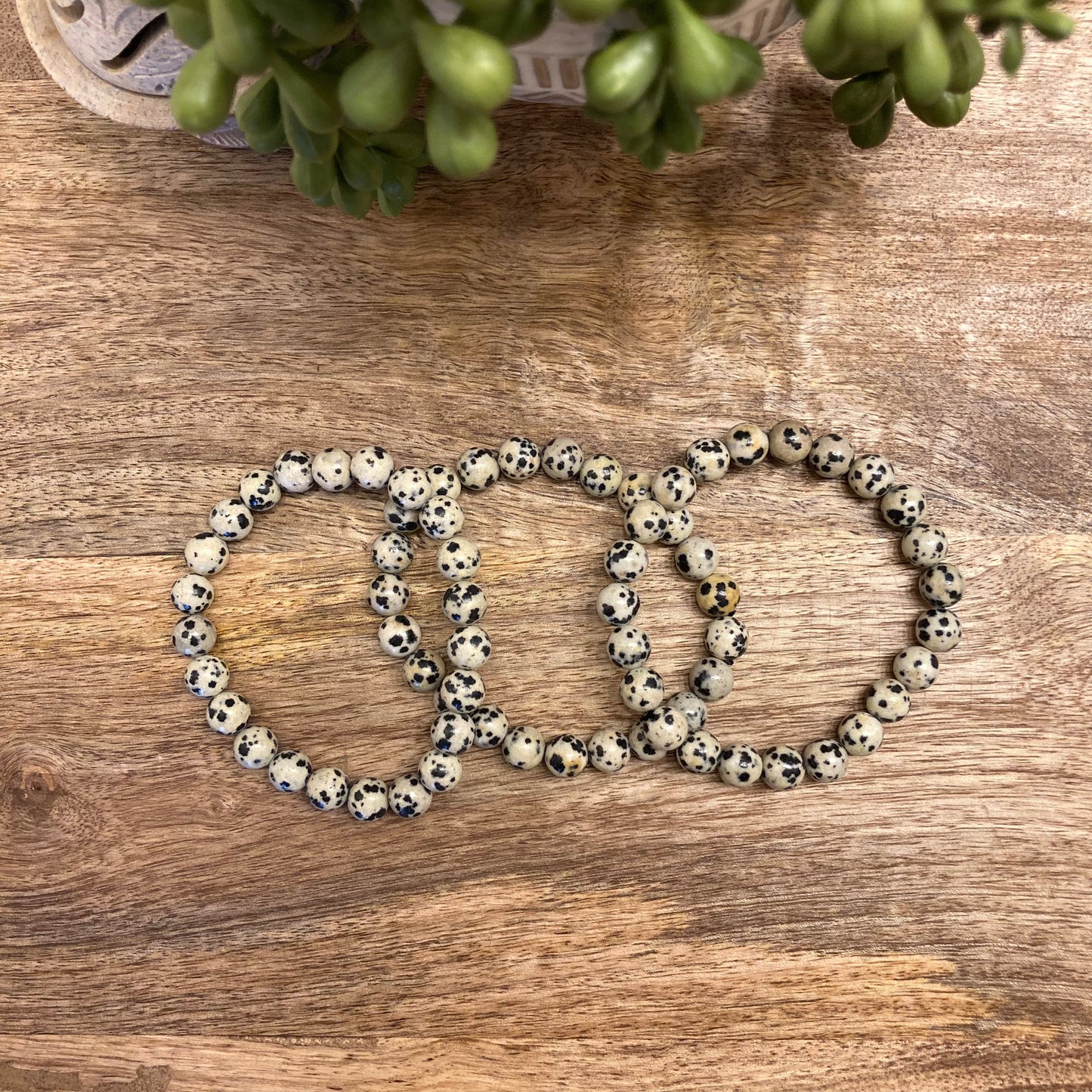 Dalmatian Jasper Bracelet