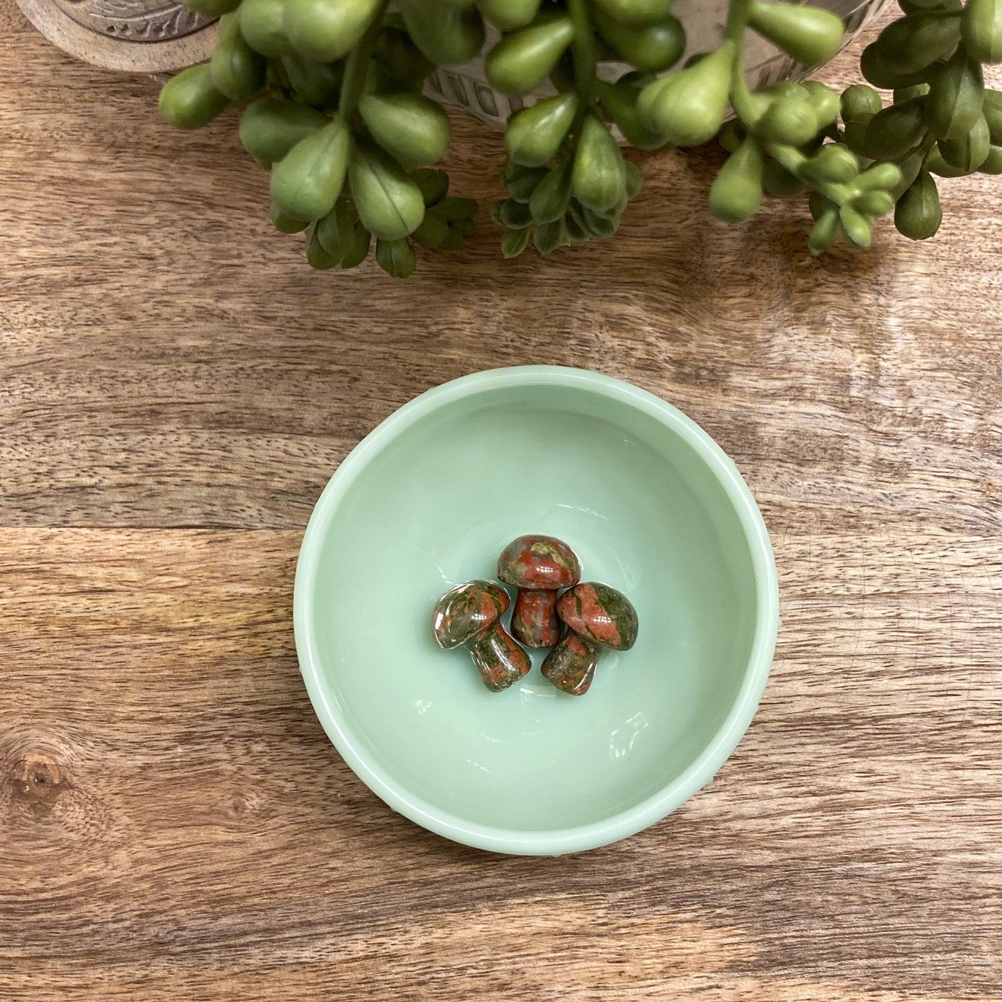 Unakite Mini Mushroom Carving