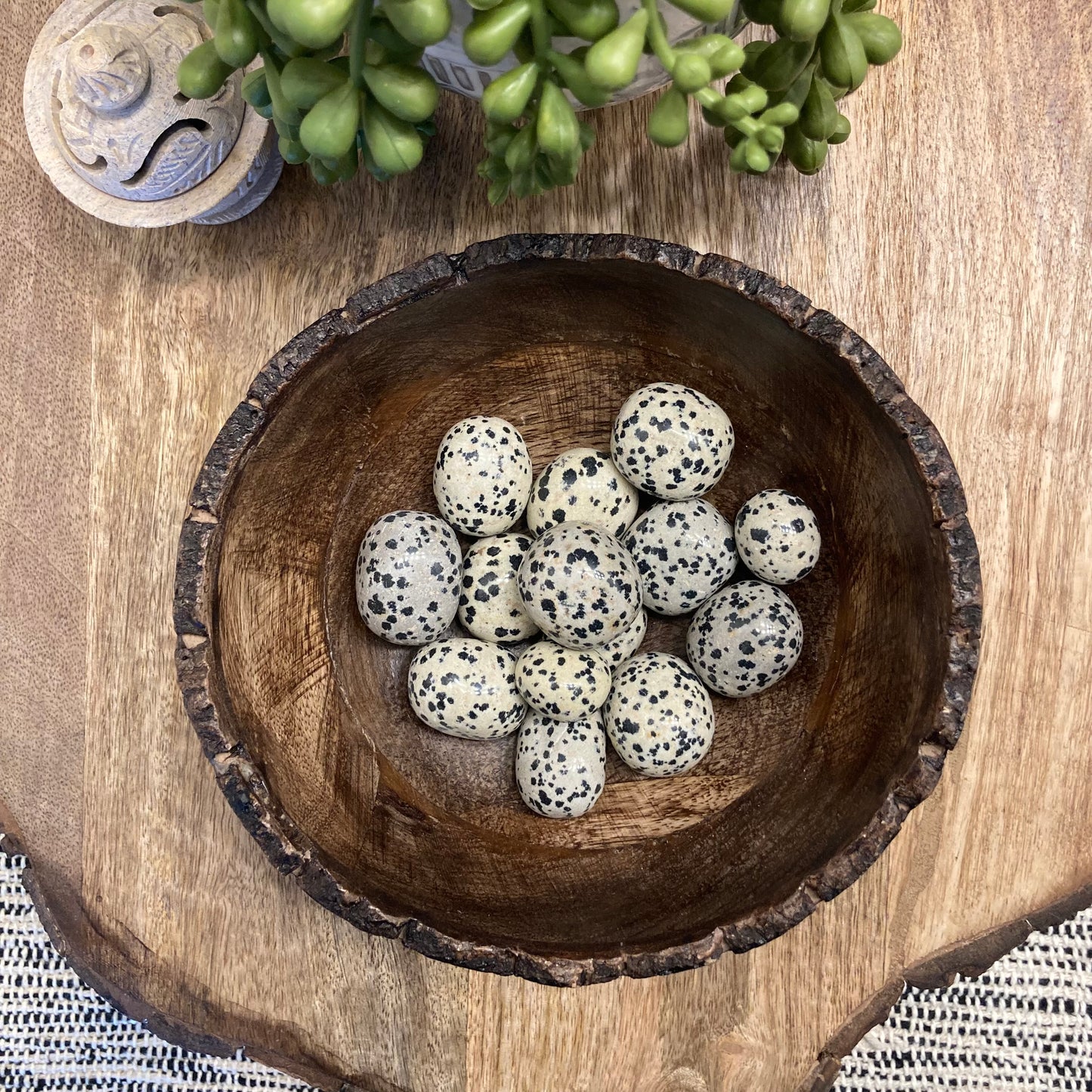 Dalmatian Jasper Tumble