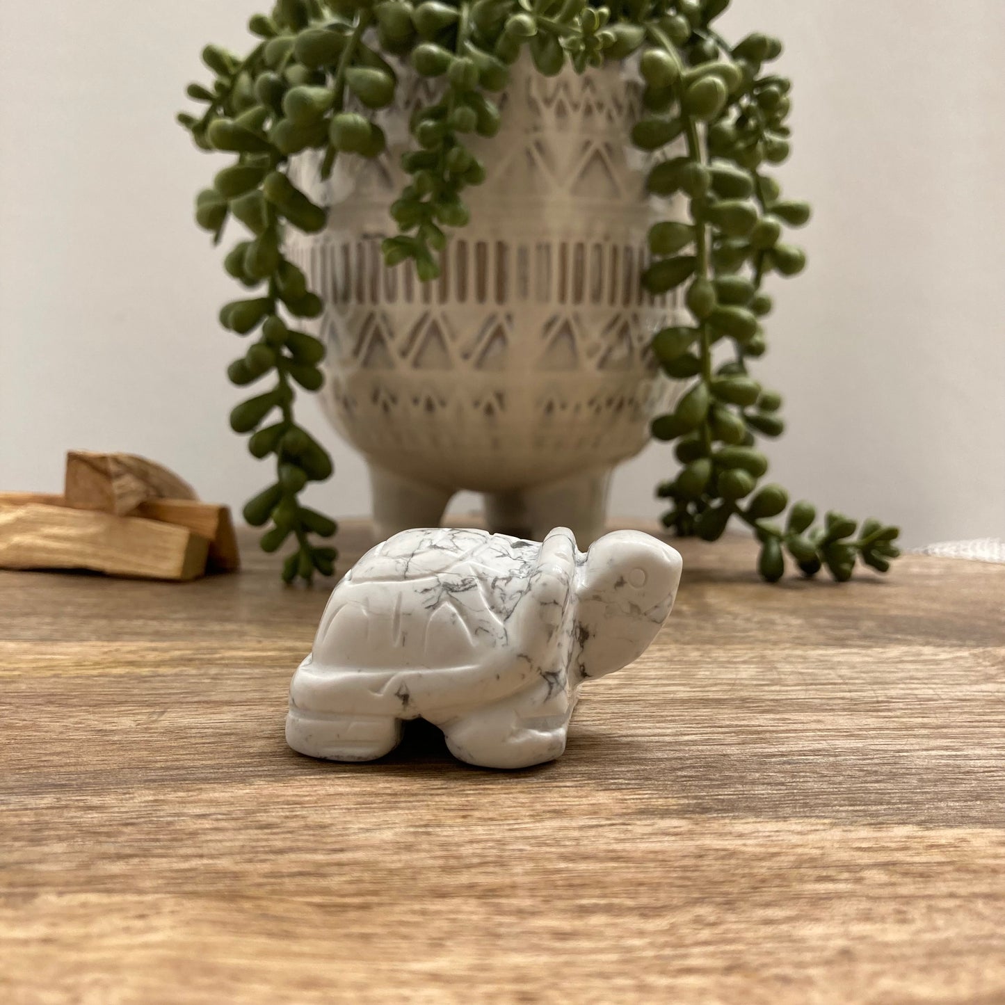Turtle Carving (Lg)