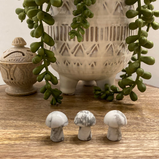 Howlite Mini Mushroom Carving
