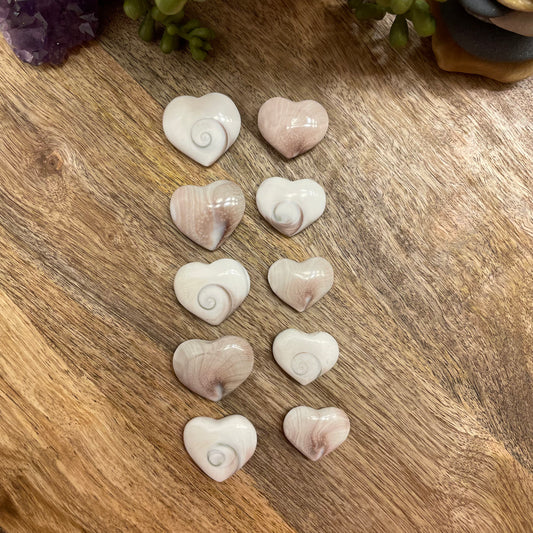Shell Heart Carving