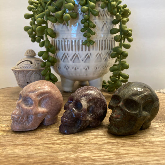 Skull Carving (Med)