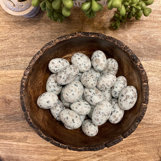 Kiwi Jasper Tumble