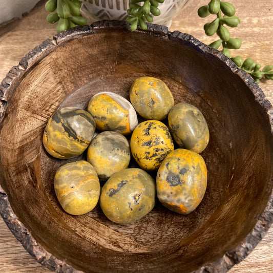 Bumblebee Jasper Tumble