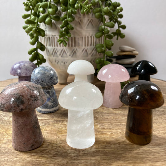 Mushroom Carving (Med)