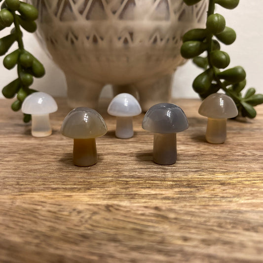 Agate Mini Mushroom Carving