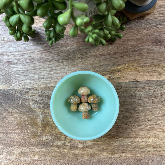 Crazy Lace Agate Mini Mushroom Carving