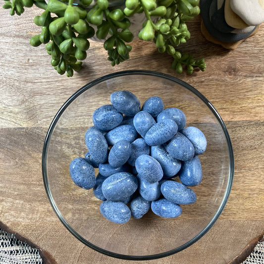 Blue Coral Jasper Tumble
