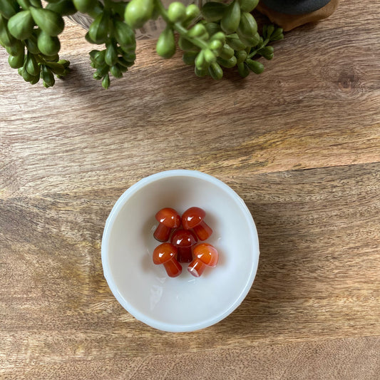 Carnelian Mini Mushroom Carving