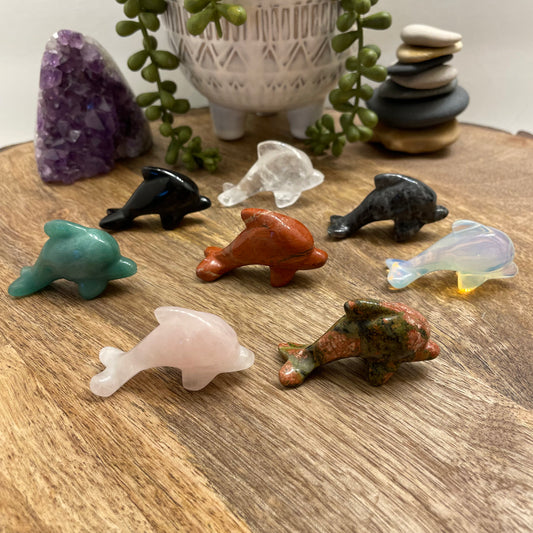 Dolphin Carving