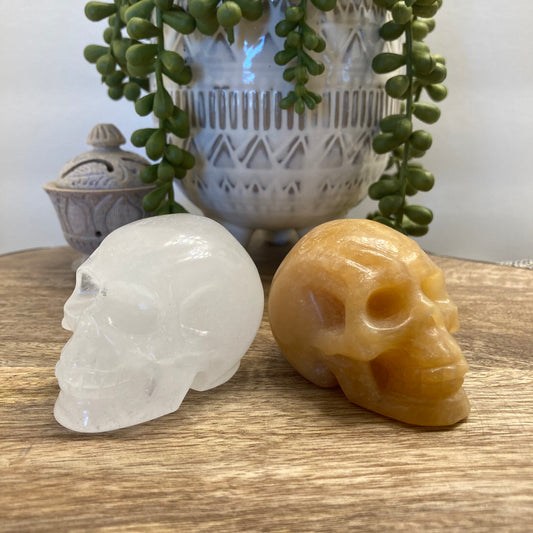 Skull Carving (Lg)